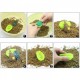 Set IN LINE Method Feeder cu 4 gramaje diferite si incarcator