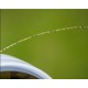 Fir Monofilament Saimino Stealth 3D Fluoro carbon 1000 m