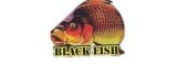 Black Fish